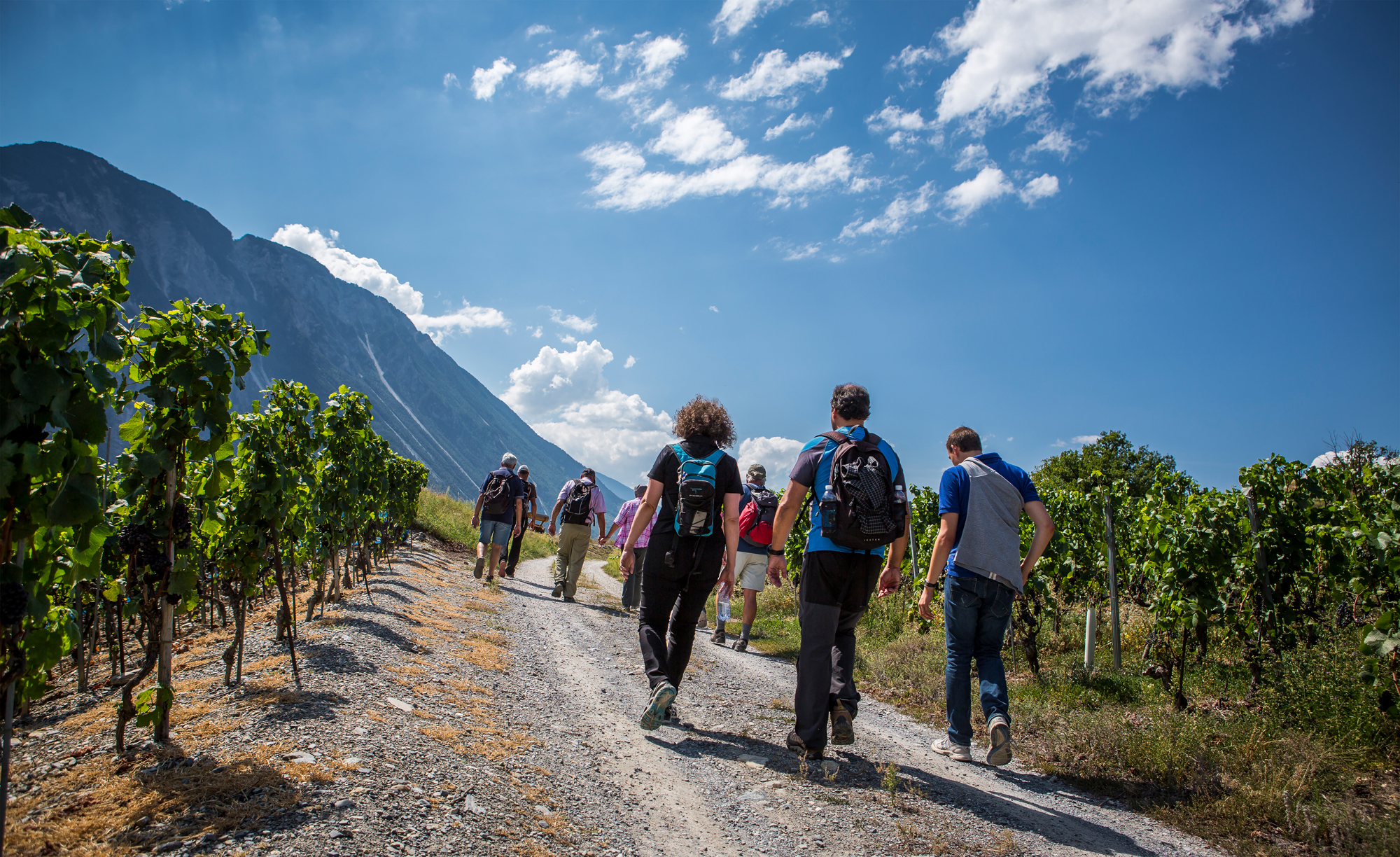 Copyright Weinwanderungen.ch (c) Weinwanderungen.ch